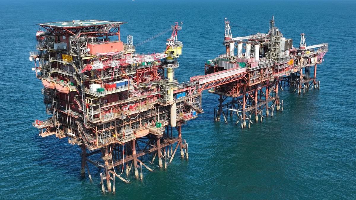 Discovering Jeane Manson's $4M Net Worth: Music, Film, and Milestones